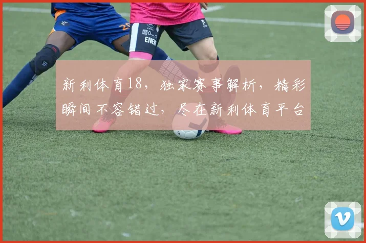 新利体育18，独家赛事解析，精彩瞬间不容错过，尽在新利体育平台