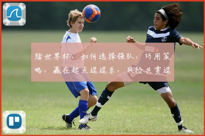 赌世界杯，如何选择强队，巧用策略，赢在起点逗逗乐，风险共赏逗逗喜