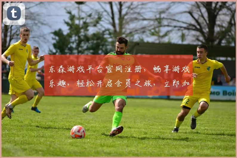 东森游戏平台官网注册，畅享游戏乐趣，轻松开启会员之旅，立即加入